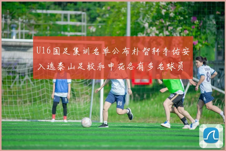 U16国足集训名单公布朴智轩李佑安入选泰山足校和申花各有多名球员参与