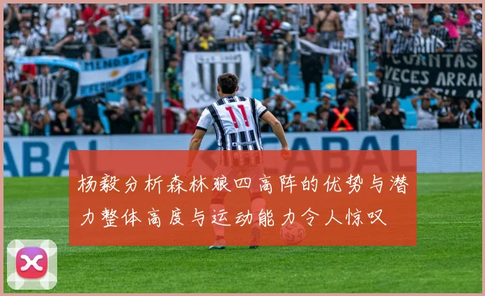 杨毅分析森林狼四高阵的优势与潜力整体高度与运动能力令人惊叹