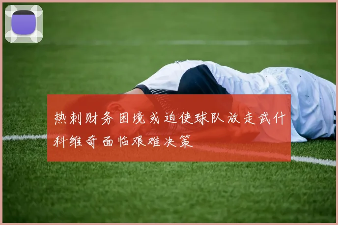热刺财务困境或迫使球队放走武什科维奇面临艰难决策